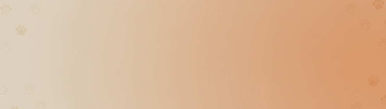 Sale Countdown Banner